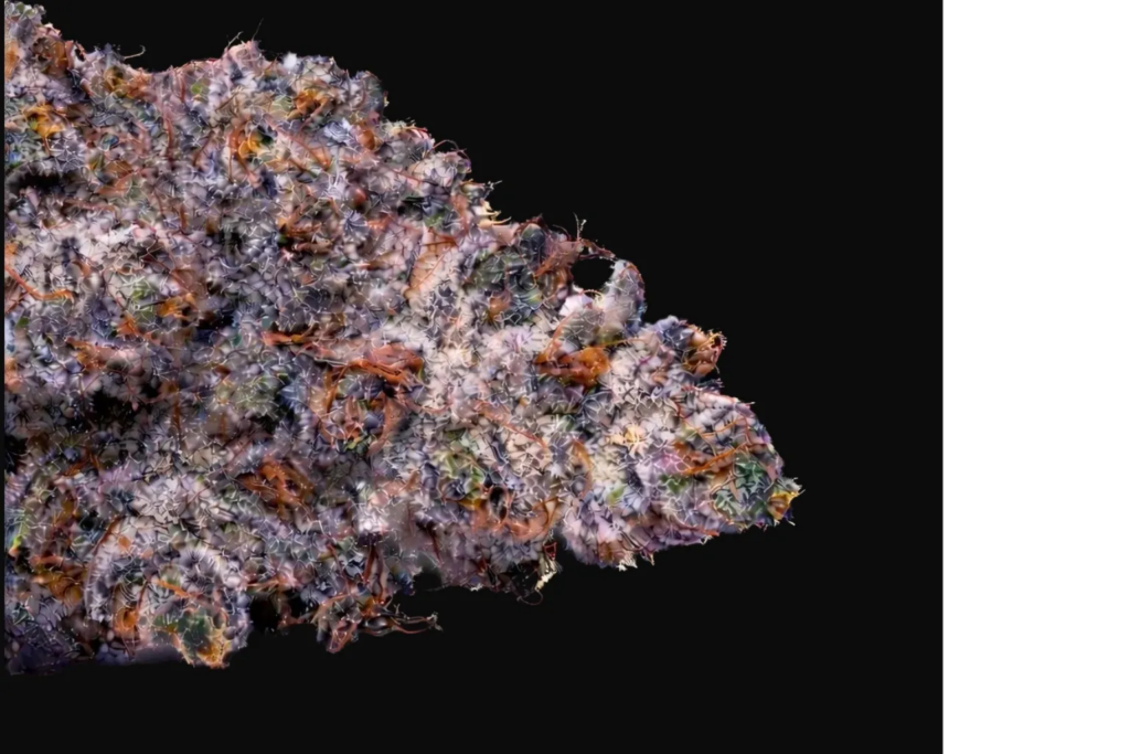 Black Cherry Ice 23%