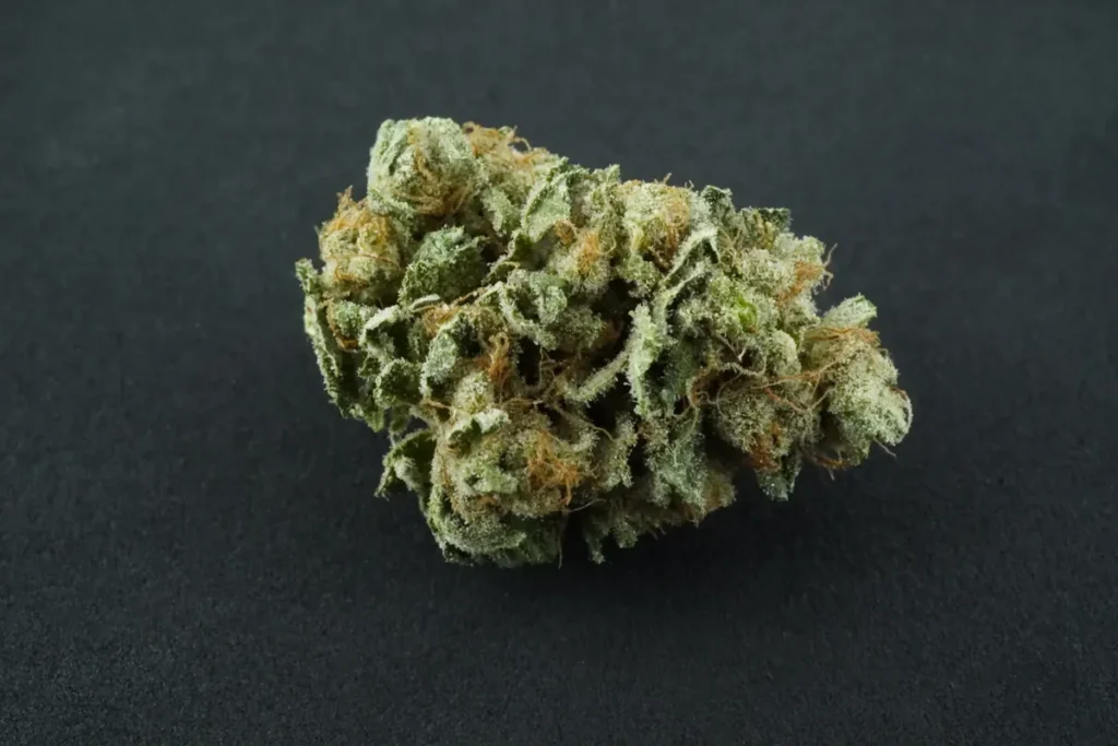 Gelato Cake 25%
