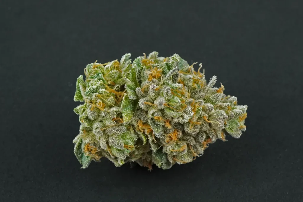 Gas Pak 25%