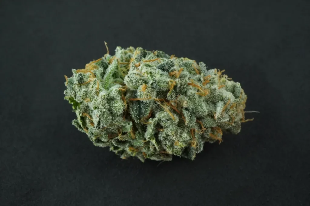 Mind Bender 36%